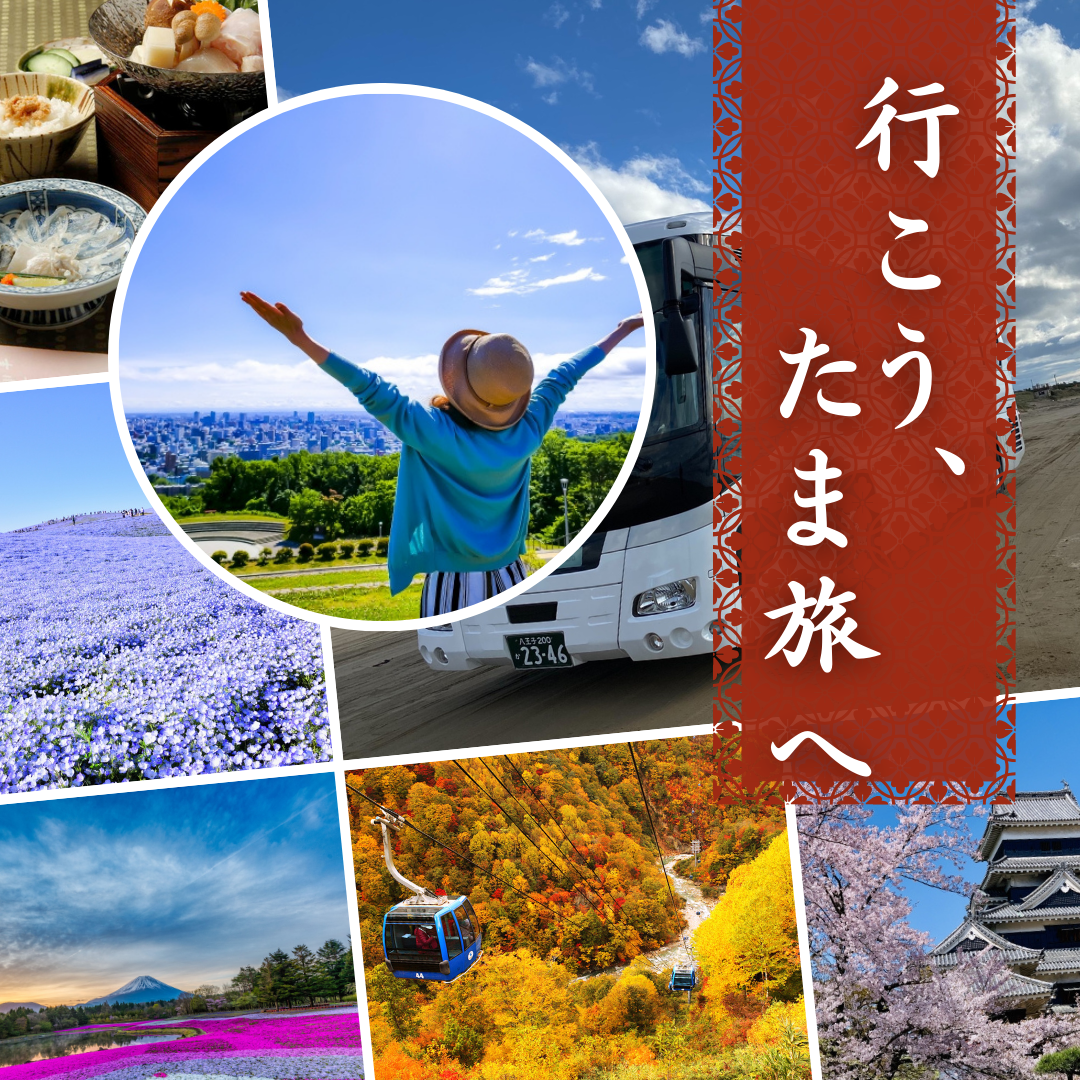 2023年勝手に人気コースランキング♪【日帰り】今年もありがとうございました！