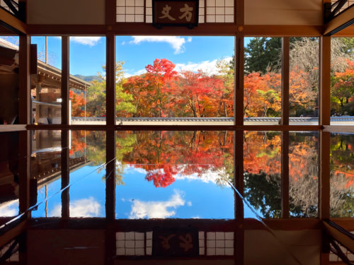 秋の特別公開！宝徳寺の床もみじ　大玉梨にっこり一玉収穫