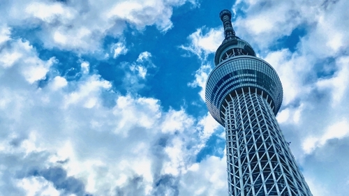 【もっとTokyo※全国旅行支援併用可能】スカイツリーとグリルブッフェ武藏