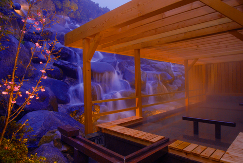 ひたち海浜公園ネモフィラの群生＆あしかがの大藤 益子館里山リゾート