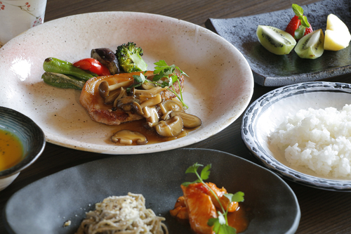 550万級のイルミネーションと日本一の噴水ショー！御殿場時之栖ひかりのすみか