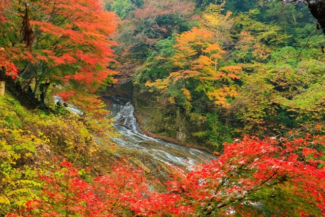 紅葉の養老渓谷　南房総小湊鯛ノ浦温泉「三日月シーパークホテル安房鴨川」