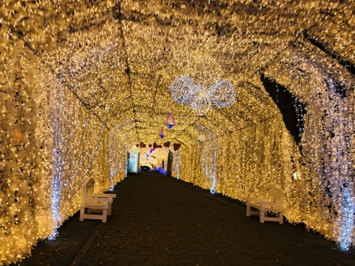 550万級のイルミネーションと日本一の噴水ショー！御殿場時之栖ひかりのすみか