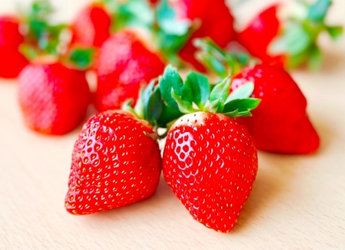 ひたち海浜公園ネモフィラの群生＆あしかがの大藤 益子館里山リゾート