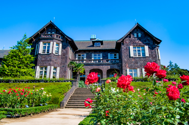 【たま旅プライス】花めぐる下町ぶらり旅 旧古河庭園・西新井大師