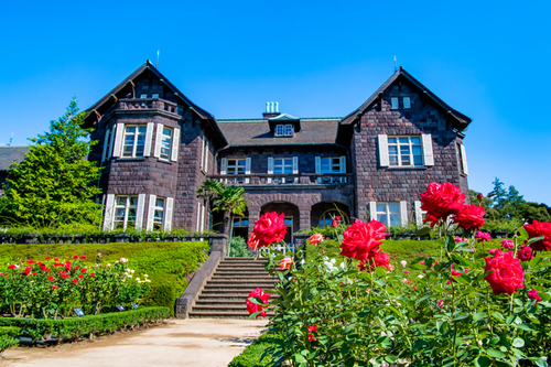 【たま旅プライス】花めぐる下町ぶらり旅 旧古河庭園・西新井大師