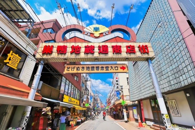 【たま旅プライス】花めぐる下町ぶらり旅 旧古河庭園・西新井大師