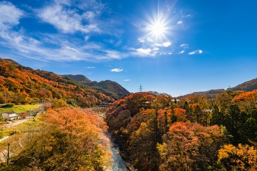 お得に旅に出掛けよう♪たまたびさんぽ道　道の駅川場田園プラザ・赤城自然園