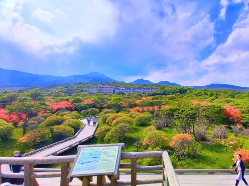 山と川が織りなす風雅な景観　川治温泉｢湯けむりの里 柏屋｣