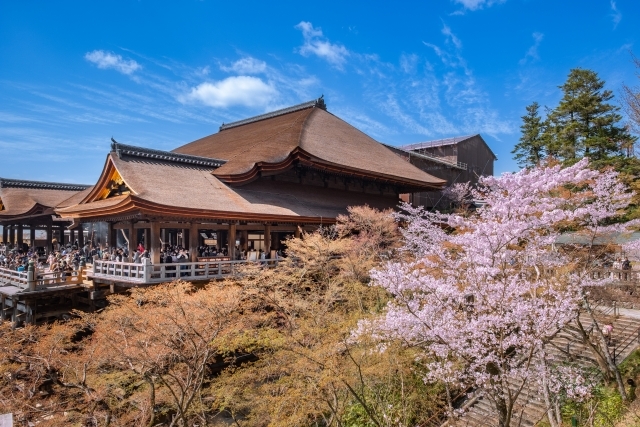 桜咲く古都へ！たっぷり京都・美桜巡り３日間