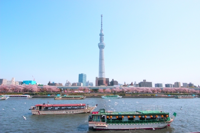 江戸前料理で風流花見の宴　隅田川屋形船