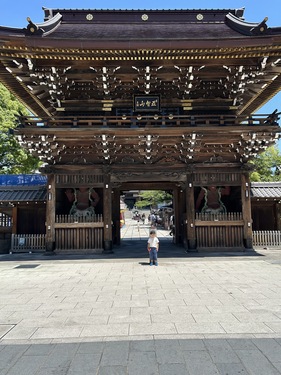 【たま旅プライス】花めぐる下町ぶらり旅 旧古河庭園・西新井大師
