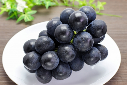 桃の収穫＆高級ぶどうお土産 やまなしフルーツ収穫祭 