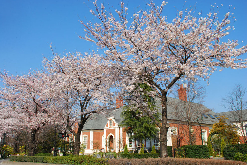 春風香る美しい桃源郷　桜の中の赤煉瓦英国邸宅アルバート邸「オースティン」