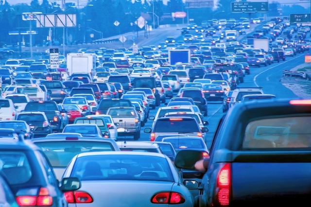 【たま旅プライス】花めぐる下町ぶらり旅 旧古河庭園・西新井大師
