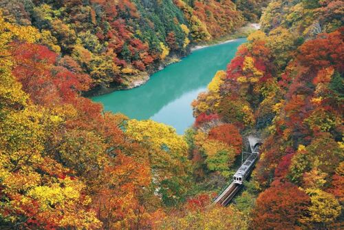 紅葉の天竜舟下り＆紅葉列車飯田線　星降る里山の一軒宿「月下美人」