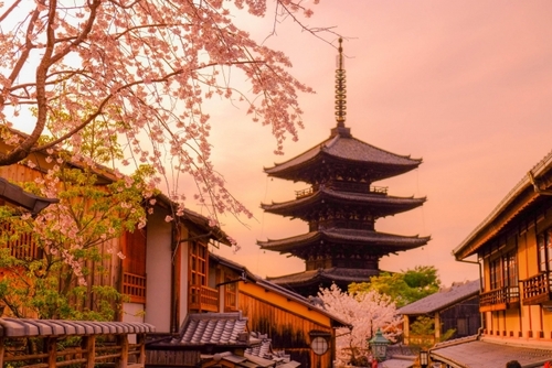 桜咲く古都へ！たっぷり京都・美桜巡り３日間