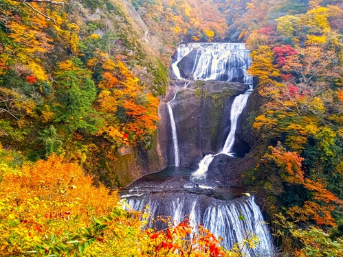 料理・風呂自慢宿　いわき湯本温泉 舌鼓の宿浜とく　紅葉の袋田の滝＆龍神大吊橋