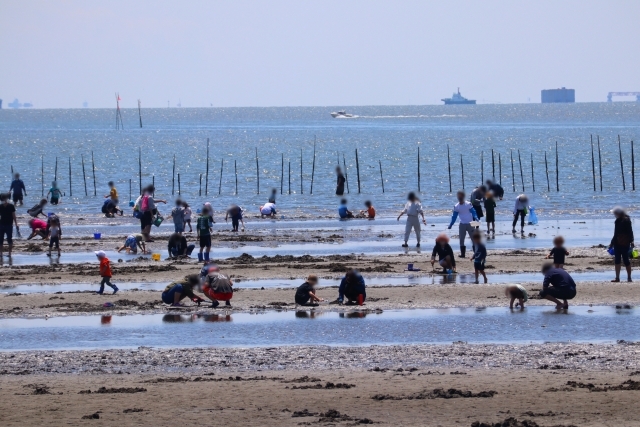 木更津金田海岸潮干狩り♪　2Kgお持ち帰り 貸熊手＆網袋＆休憩所付き
