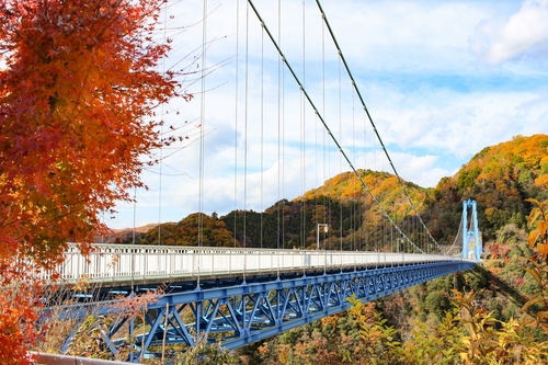 料理・風呂自慢宿　いわき湯本温泉 舌鼓の宿浜とく　紅葉の袋田の滝＆龍神大吊橋