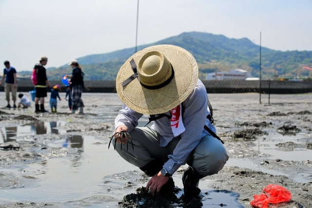 木更津金田海岸潮干狩り♪　2Kgお持ち帰り 貸熊手＆網袋＆休憩所付き
