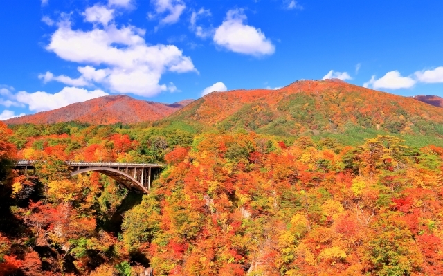 東北の絶景紅葉！鳴子峡　鳴子温泉「大江戸温泉物語 ますや」