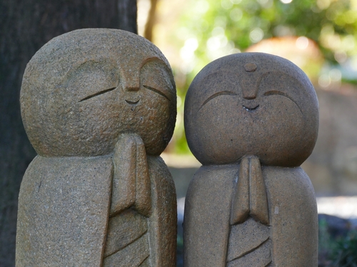 秋の特別公開 幻想的な「宝徳寺の床もみじ」平均800ｇ？大玉梨「にっこり」