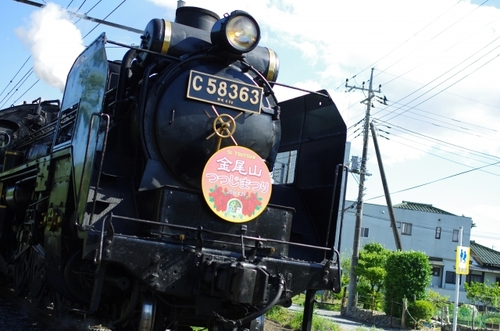 秩父に響く汽笛の音色 秩父鉄道SLパレオエクスプレス