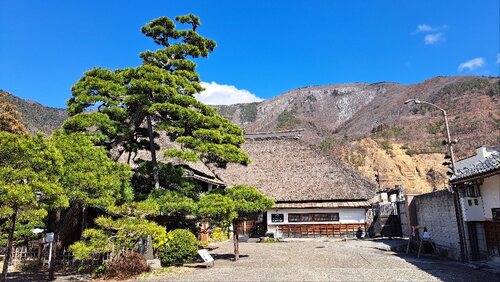 たま旅信州福袋！贈呈用シャインマスカット＆信州の味覚