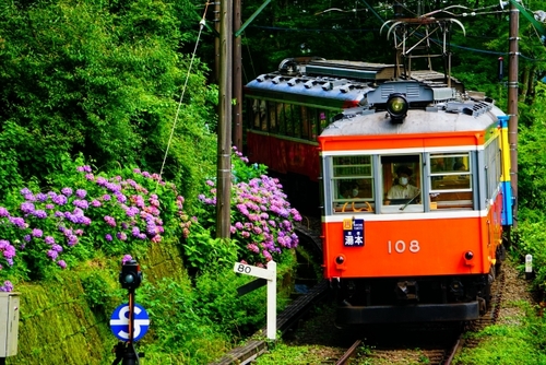 箱根あじさい電車と芦ノ湖望む箱根ホテル「イル・ミラジィオ」