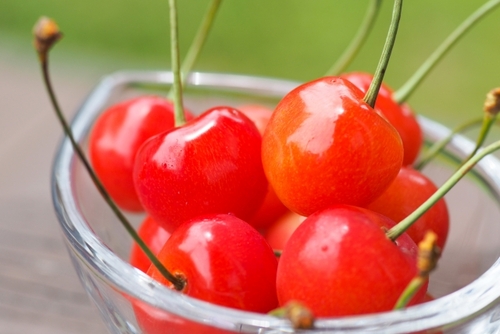 【HP先行予約】赤城さくらんぼ狩り　香り高い名代野ぼとけそばと野菜詰め放題