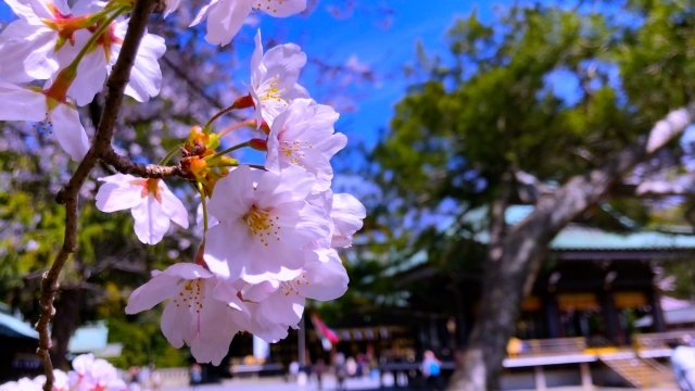行列のできる港町の名店へ！　西伊豆荒磯料理