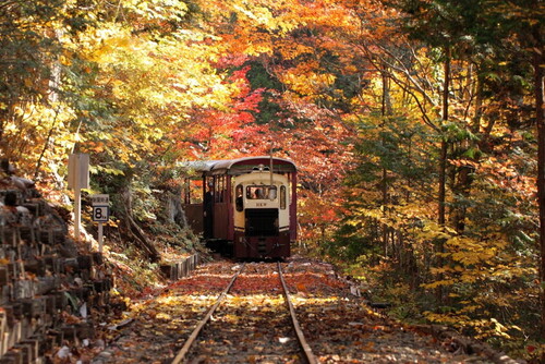 紅葉の赤沢森林鉄道トロッコ列車　南木曽温泉「TAOYA木曽路」