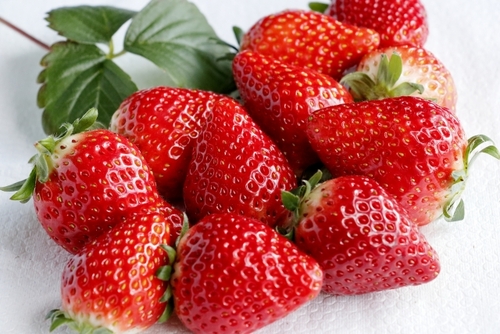 日頃の感謝を込めて！　たまたびバレンタイン　～いちご２パックお土産付～