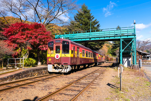 一度は行きたい秘湯の名旅館「法師温泉 長寿館」　紅葉のわたらせ渓谷鐵道