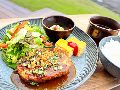 栗と秋のいばらき　常陸の輝きハンバーグ＆笠間栗モンブラン　約1Kgの栗ひろい