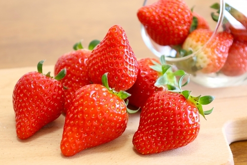 赤城いちご狩り食べ放題　みさとの芝桜＆白井宿八重桜