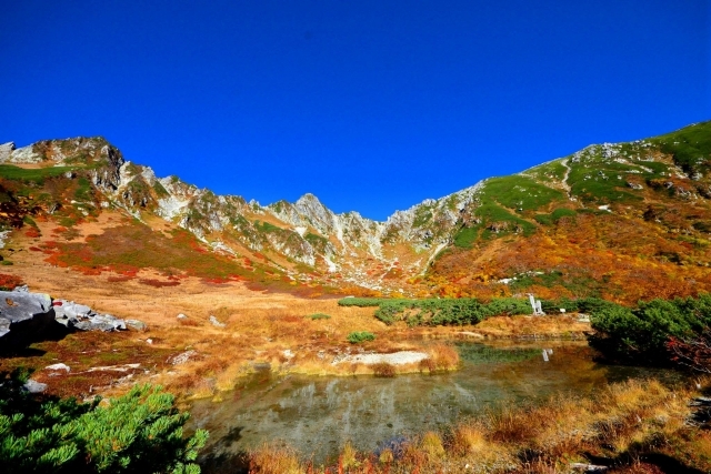 紅葉の中央アルプスロープウェイ＆絶景の千畳敷　信州中川村「望岳荘」