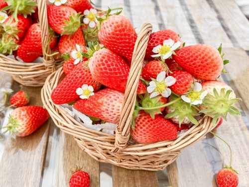 心から感謝を込めて　たまたびホワイトデイ　いちごのお土産付き！