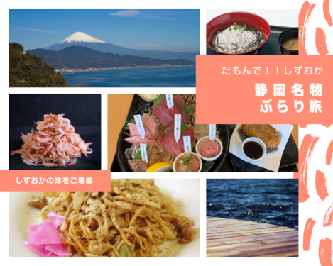 静岡の味をたくさんご堪能♪　だもんで！しずおか　静岡名物ぶらり旅