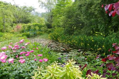 箱根の初夏の風物詩”箱根あじさい電車” フレンチ＆ジュエリースイーツ