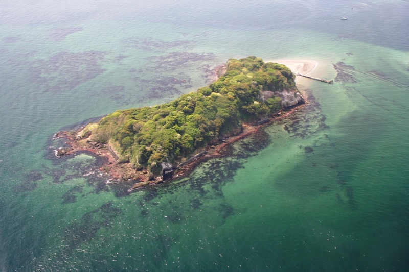 東京湾の無人島　猿島　