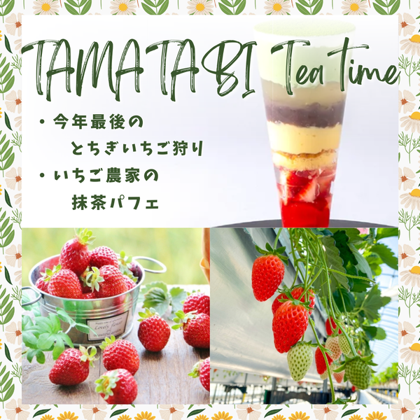 今年最後のとちぎいちご狩り！とちぎいちご＆ティータイム