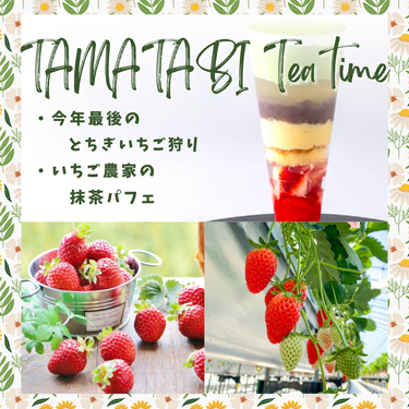 今年最後のとちぎいちご狩り！とちぎいちご＆ティータイム