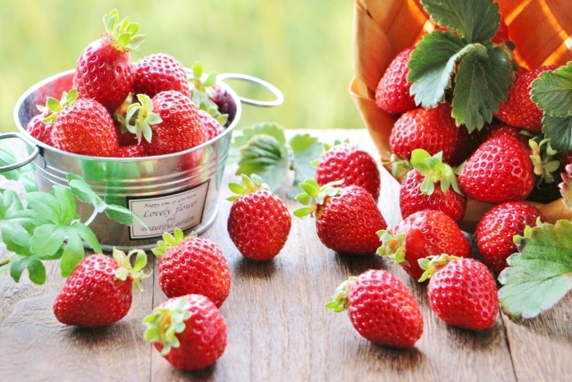 今年最後のとちぎいちご狩り！とちぎいちご＆ティータイム