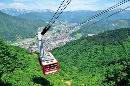 高山植物の最盛期！花咲く雲上の楽園へ！農家レストラン縁～大源太旬菜御膳～