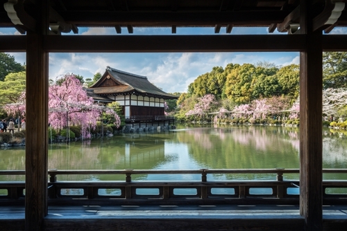 京都・奈良桜の競演　山染める吉野山千本桜　京都・奈良の和風旅館に2泊