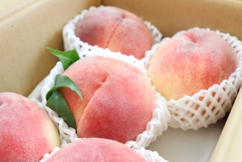 【もも1箱お土産付】日本一の桃の郷 南アルプスもも三昧！八ヶ岳ランチタイム