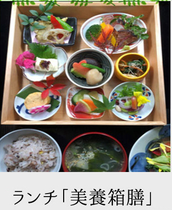 【いちご2パックお土産付】いちごが旬の栃木へ!! よってがっせ！とちぎ