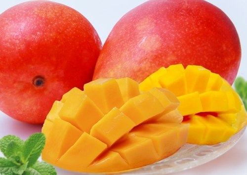 南国の高級フルーツ！伊豆マンゴー 爽快芦ノ湖クルージングと御膳屋丸天